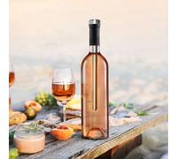Refroidisseur de bouteille - cook concept - argent