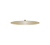 vidaXL Douche de pluie ronde 50 cm acier inoxydable doré