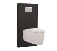 Regiplast QRNSU QR-Box Module sanitaire en Fibre de verre pour Cuvette suspendue sans commande Noir