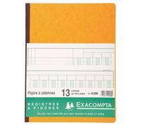 Registre Exacompta 4130 piqûre 13 colonnes