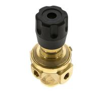 Régulateur de pression G1/4'' 490l/min 0.5-8.0bar/7-116psi Laiton