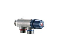 Delabie - Mitigeur thermostatique Premix Compact 733020 - M3/4' corps brut