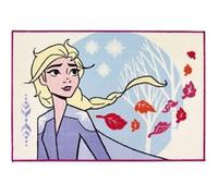Reine des Neiges - Grand Tapis Enfant - Décoration Chambre Violet G