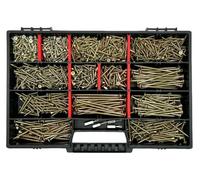 Reisser Lot de 1345 vis, avec 4 embouts TX et mallette de rangement solide, 3 x 12/3 x 16/3 x 25/3 x 30/3,5 x 20/3,5 x 30/4 x 70/3,5 x 35/4,5 x 80/4 x 6 0/4 x 50/3,5 x 40