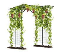 RELAX4LIFE Arche Jardin Métal 2M avec Treillis pour Plantes Grimpantes | Pergola Métal Plante Grimpante, Tube Revêtu de PE, Résistant aux Intempéries, Grand Arche pour Raisin Concombre Fleur