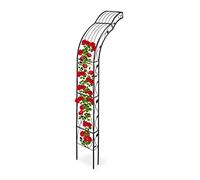 Relaxdays Arcade de Roses Demi Rond, Montage Mural, décoré, Roses grimpantes, pergola Fer, HlP: 256 x 39 x 72 cm, Noir