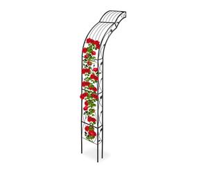 Relaxdays Arcade de rosiers demi ronde pour mur