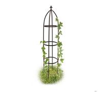 Relaxdays Arceau de jardin arche rosiers plantes