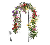 Relaxdays Arche pour rosiers en métal noir