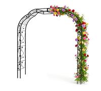 Relaxdays Arche Fleurie métal HxLxP 250x228x39 cm, portique de Jardin, Support Robuste pour Plantes grimpantes, Noir