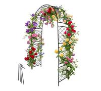 Relaxdays Arche pour rosiers en métal noir