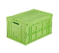 Relaxdays Boîte Pliable avec Couvercle, Caisse, Rangement, Plastique, Coffre 60 litres, HxLxP :31,5x59,5x39,5 cm, Vert