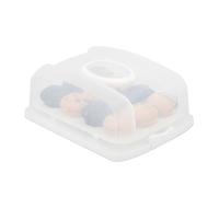 Relaxdays Boîte pour gâteau rectangulaire