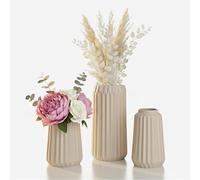 Relaxdays, Ensemble de 3 vases, vases à Fleurs, 3 Tailles, pour Fleurs fraîches et séchées, Vase en céramique, Beige
