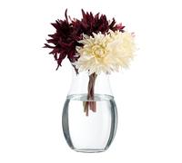 Relaxdays Grand Vase décoratif, pour Vos Fleurs, en Verre, Dimensions H x D : 26 x 15 cm, Transparent