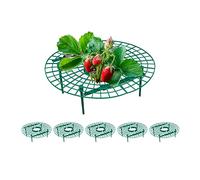 Relaxdays Grille à Fraises, 6 pièces, Protection Anti-limaces Fraises, Plastique, Contre pourriture et moisissure, Vert
