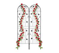 Relaxdays Grille tuteur plante 200 cm Lot de 2