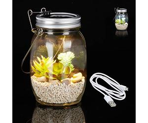 Relaxdays Lampe Solaire, en Verre, éclairage 8 LEDs, Blanc Froid, câble USB, Bocal Soleil, intérieur,extérieur