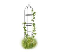 Relaxdays Lot de 2 treillis ronde en métal 2 m rankengitter blumengitter rosengitter Fleur