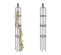 Relaxdays Lot de 2 Trellis 160 cm