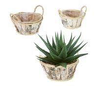 Relaxdays Lot de 3 pots de fleurs ronds en bouleau