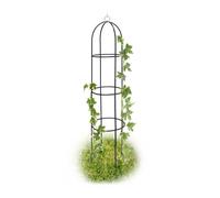 Relaxdays Obélisque tuteur, plantes grimpantes, rosiers arcade, arceau roses, arche jardin, métal 190 cm, vert