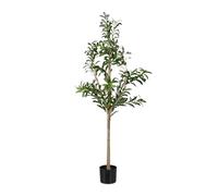 Relaxdays Olivier Artificiel, Arbre décoratif, détails réalistes, H x D : 150 x 65 cm, Vert et Marron