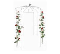 Relaxdays Pavillon métal pour roses