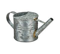 Relaxdays Petit arrosoir, 1,3 litres, pour Plantes d’intérieur, décoration, Design Vintage, nostalgique, métal, Argente