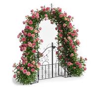 Relaxdays Arche noire pour rosiers avec porte