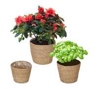 Relaxdays Pot de Fleur en zostère, Lot de 3, pour Herbes, Plantes & Fleurs, 3 Tailles, Cache-Pot, Film Plastique, Nature