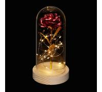 Relaxdays Rose éternelle sous cloche
