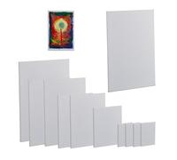 Relaxdays Toiles à peindre, lot de 12, rectangulaires, aquarelle, acrylique, cadre en bois de pin, coton, blanches