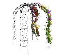 Relaxdays Tonnelle à Roses, métal, HxLxP: 250 x 199 x 199 cm, Arche pour Plantes grimpantes, Noir