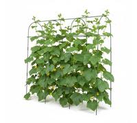 Treillis Relaxdays pour Plantes grimpantes, métal avec Filet et Accessoires, HxLxP: 182x183x43 cm, légumes, Vert