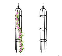 Relaxdays Lot de 2 Trellis 100 cm