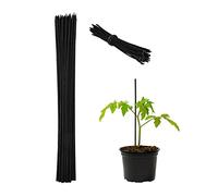Relaxdays Tuteur à tomates avec Fil de Fer, en Lot de 50, Noir | pour jeunes plantes, en bambou, H x D : env. 30 x 0,5 cm