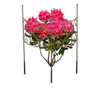 Relaxdays Tuteur Demi-Cercle, Support Plantes Semi-Circulaire, Pivoine & Hortensia, hxl: 41,5x31 cm, Acier, Brun