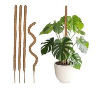 Relaxdays Tuteurs en Fibre de Coco, Lot de 5, pour Monstera, Photos et Autres Plantes d'intérieur, 90 cm de Long, Nature