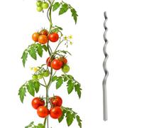 Relaxdays Tuteurs spiralés tomates, Lot de 20, 150 cm, Ø 5 mm, Acier zingué, Argent