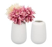 Relaxdays Vase décoratif en lot de 2
