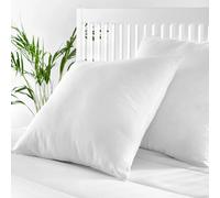 Rembourrage de Coussin en Fibre Hypoallergénique - Housse 100% Coton - 50x50 cm