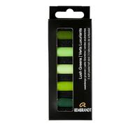 Rembrandt Professional Pastel Set Lush Greens | 5 Demi Pastels