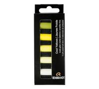Rembrandt Set de Pastels Doux Professionnels Jaune Froid | 5 Demi-Pastels
