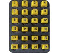 Remote Identifier 226581 Softing PD_RK224 réseau