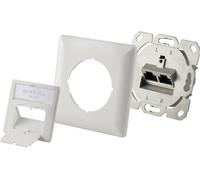 Renkforce Prise réseau encastré insert avec plaque centrale et châssis CAT 6a 2 ports blanc
