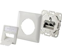 Renkforce Prise réseau encastré insert avec plaque centrale et châssis CAT 6a 2 ports blanc