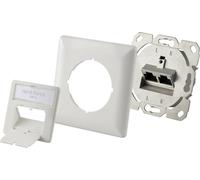 Renkforce Prise réseau encastré insert CAT 6 2 ports blanc pur