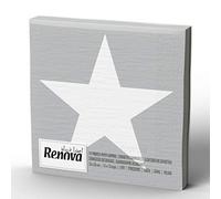Renova Lot de 20 serviettes en papier ultra absorbantes 110 g