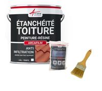 Réparation Étanchéité Toiture, Tuile, Gouttière, Chéneau 2.5 L Blanc | Répare et Étanche Toitures, Tuiles, Gouttières, Fissures, Souche de Cheminée, Adhère Tous Supports - Arcane Industries